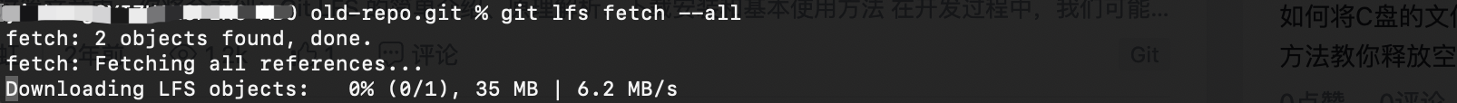 get lfs file