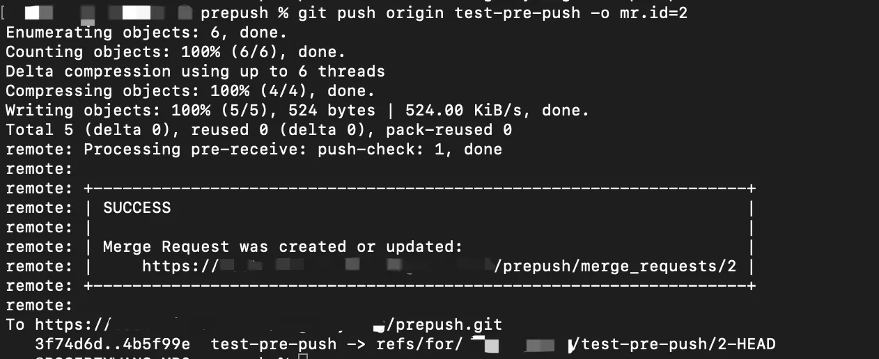 pre_push_08