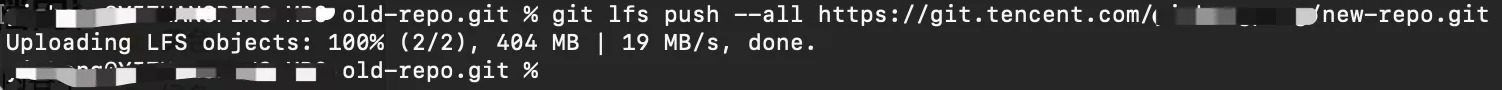 push lfs file