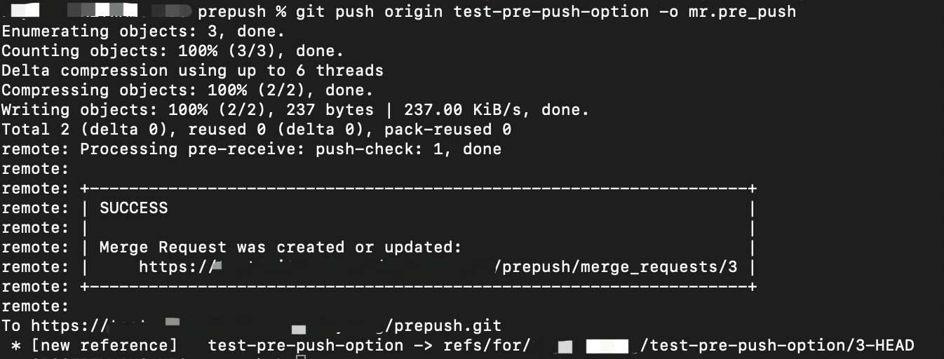 pre_push_02