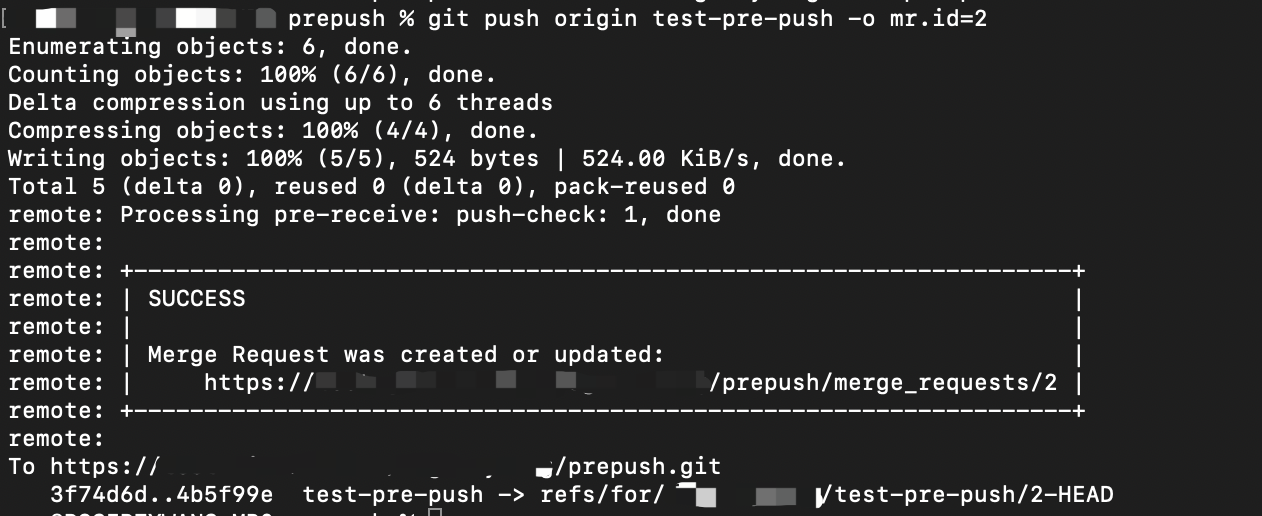 pre_push_08
